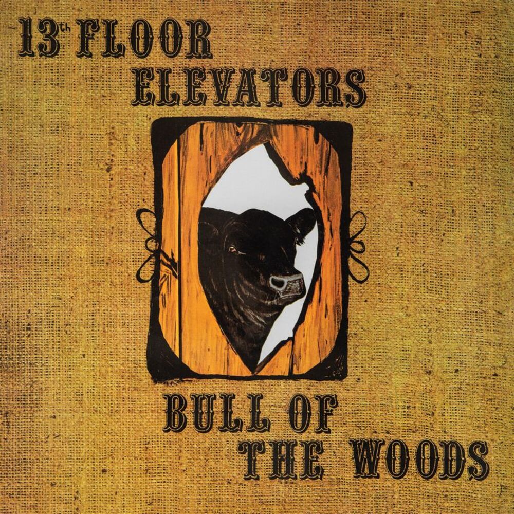 The 13th Floor Elevators - Bull Of The Woods  LP LP